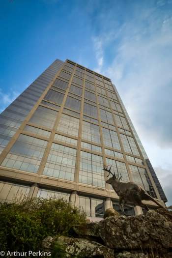 Architecture Commercial Real Estate