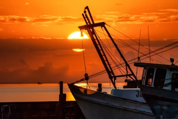 Sunrise Fulton Harbor